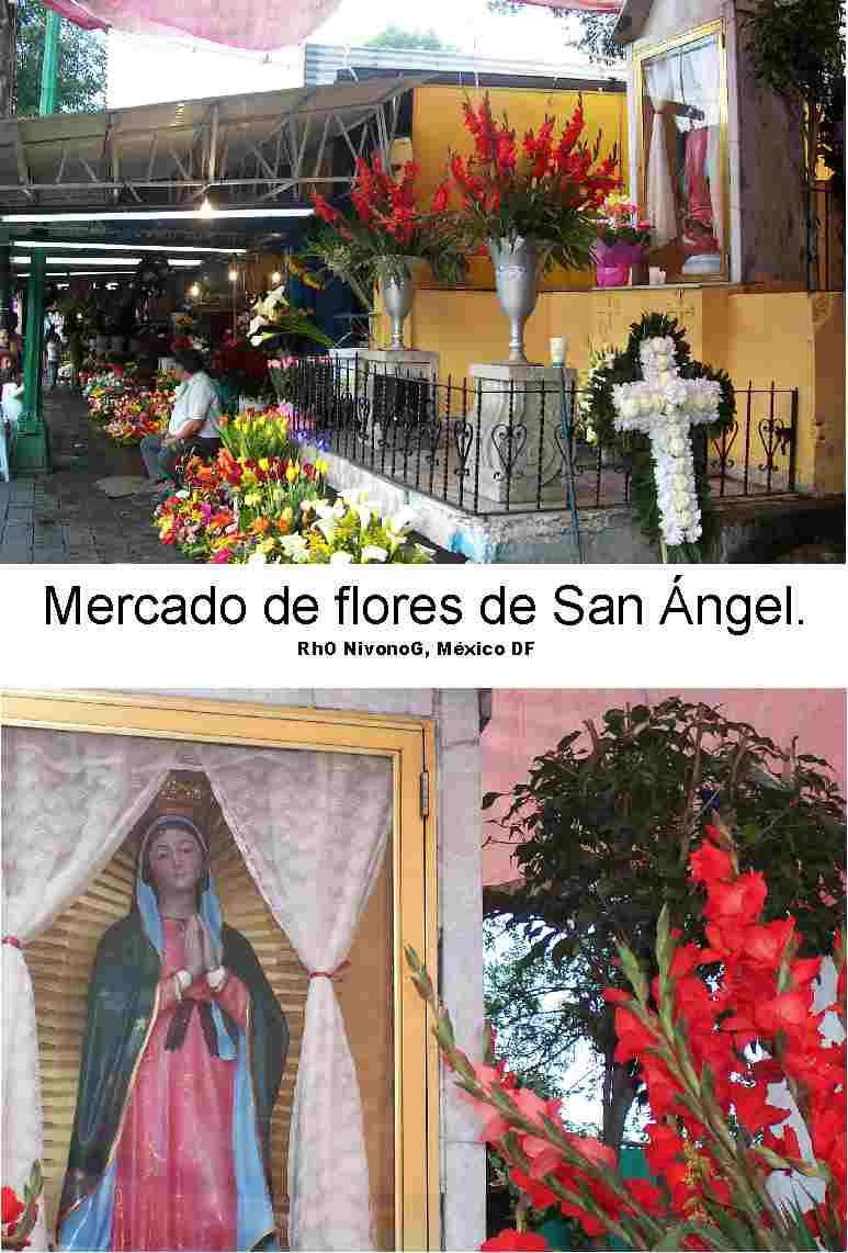 Mercado de flores san angel B.jpg
